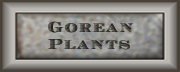 Gorean Plants