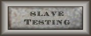 Slave testing